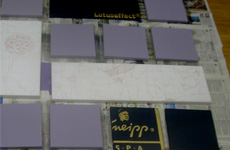 lotus leben 2 kneipp