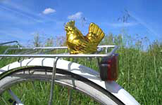 huhn auf rad