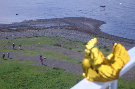 huhn auf leuchtturm