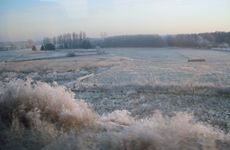 landschaft mit raureif
