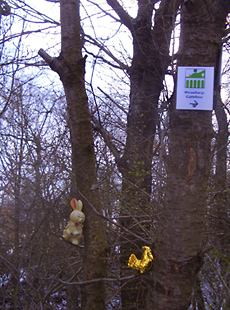 huhn und hase auf weiselbergweg