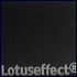 ausschnitt lotusleben v20
