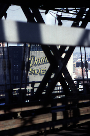 domino sugar tag